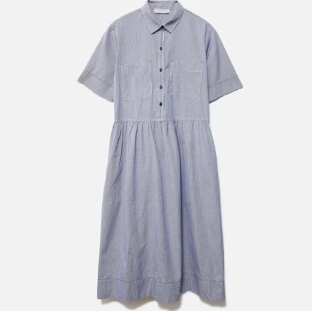 Everlane The Parklet Shirtdress Blue White Cotton Oversized Sz 0 - Picture 2 of 11